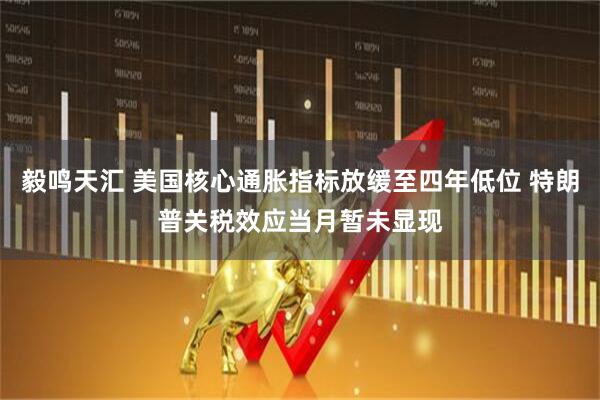 毅鸣天汇 美国核心通胀指标放缓至四年低位 特朗普关税效应当月暂未显现