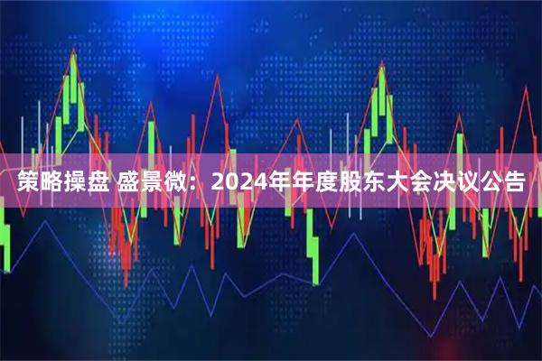 策略操盘 盛景微：2024年年度股东大会决议公告